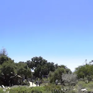 Blaksley Boulder, Meadow panorama