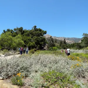 Visitors in the Garden, Meadow and Desert Section