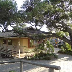 North wing, Garden Shop and Garden Entrance oak