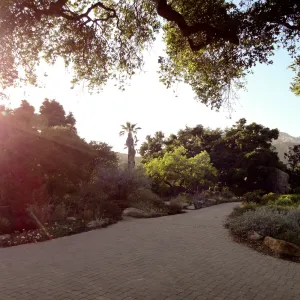 Garden view at sunset