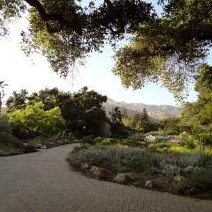 Garden view at sunset
