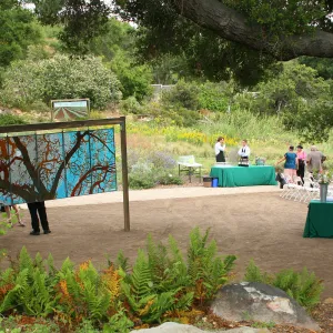 stained glass art exhibit, under the Meadow Oaks. Rose and Nightingale concert in the Garden event