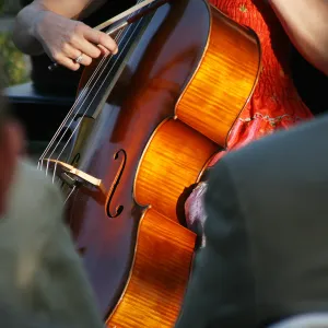 musicians, Rose and Nightingale concert in the Garden event