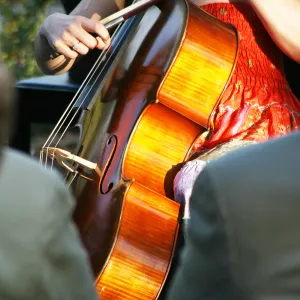 musicians, Rose and Nightingale concert in the Garden event