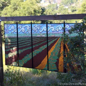 Stained glass art exhibit in the Meadow