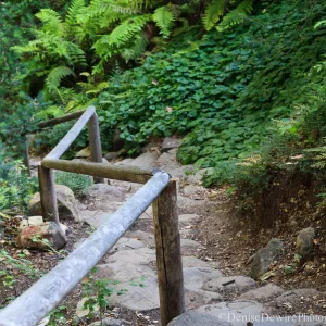Indian Steps