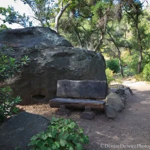 wood bench and boulder, Canyon Section