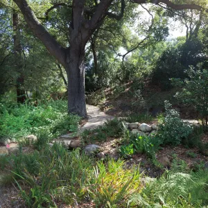 Arroyo Section