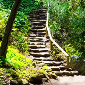 Indian Steps, SBBG Photo Contest 2012
