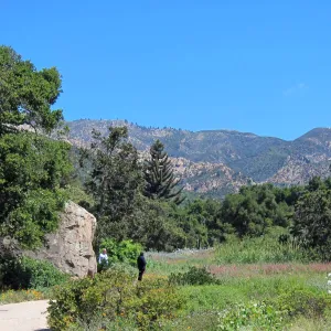 SBBG Meadow, Blaksley Boulder, SBBG Photo Contest 2012