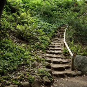 Indian Steps, SBBG Photo Contest 2012