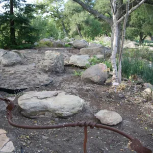 Construction of the Orchid Display