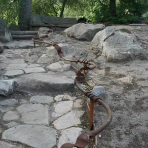 Construction of the Orchid Display