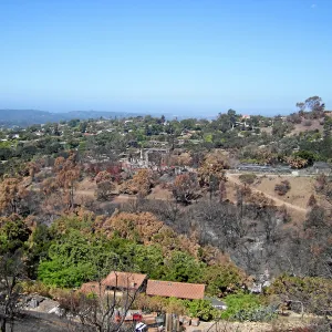 View of Jesusita Fire damage from Cavalli Ridge