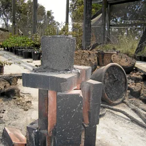 Jesusita Fire damage at the Hort Unit