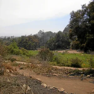 Jesusita Fire damage, Meadow View