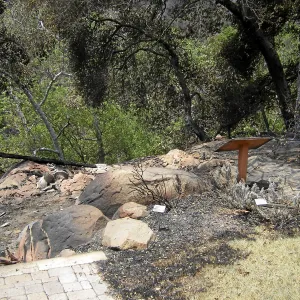 Jesusita Fire, damage to Home Demonstration Garden
