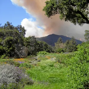 Jesusita Fire, shortly after ignition