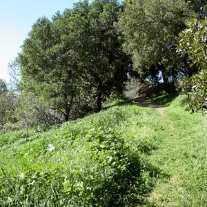 Porter Trail, East slope, south up path
