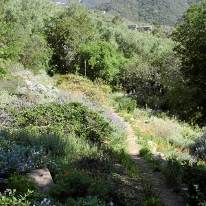 Porter Trail, Switch Back, North