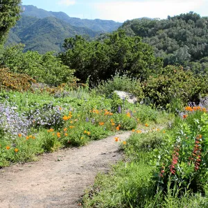 West path, east