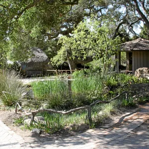 Meadow, Main path over pond, south