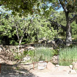 Meadow, Pond from main path, northwest
