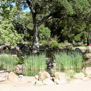 Meadow, Pond from main path, northwest
