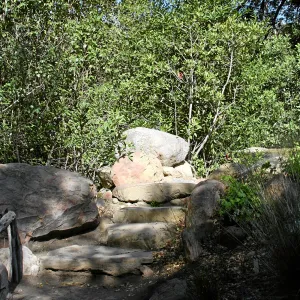 Meadow, stone steps