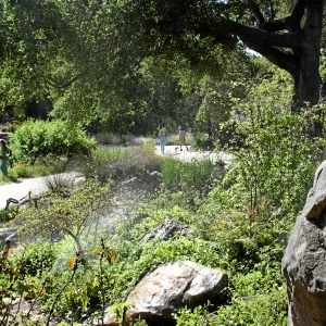 Brook, across display southeast