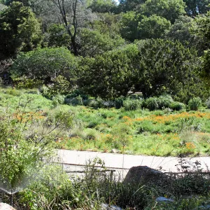 Brook, Top east