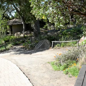 Meadow,Main path, southwest, looking towards kiosk