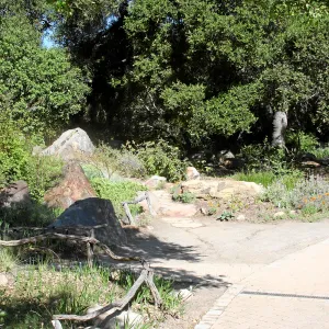 Meadow,Main path, northwest
