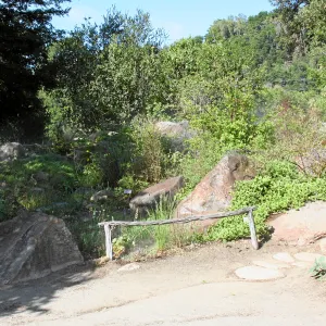Meadow,Main path, west