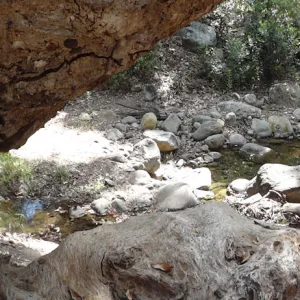 tree trunk arch, Canyon Trail, panorama