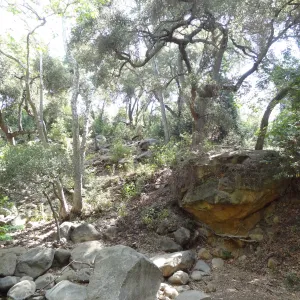 boulder, Canyon Section