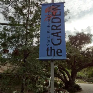 Entrance banners, SBBG