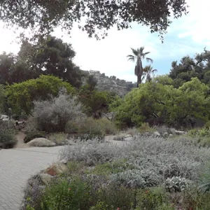 SBBG Entrance view to Desert Section, Meadow and mountains, panorama