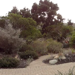 view from Meadow to Desert Section, panorama