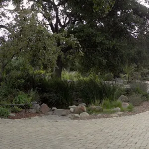 Information Kiosk and Meadow Pond, panorama