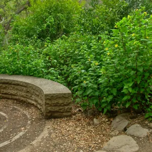Spiral Stone Bench, Canyon Section