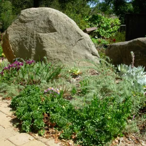 Home Demonstration Garden, SBBG