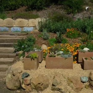 trough display garden, Meadow View, SBBG, mosaic by Patty Jacquemain on stone bench