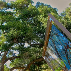 stained glass art exhibit, Meadow Oaks