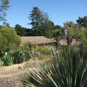 Desert Section, view to the North Wing