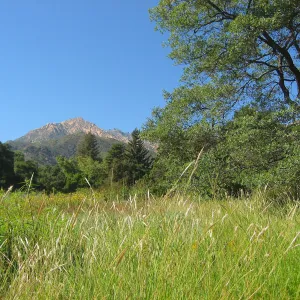 SBBG Meadow, view to La Cumbre Perak