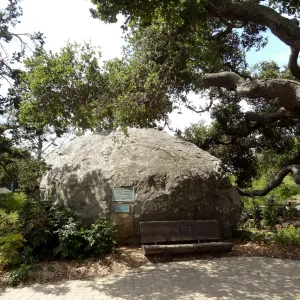 Blaksley Boulder, wood bench, coast live oak
