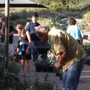 SBBG Fall Plant Sale 2010