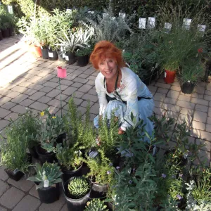 SBBG Fall Plant Sale 2010