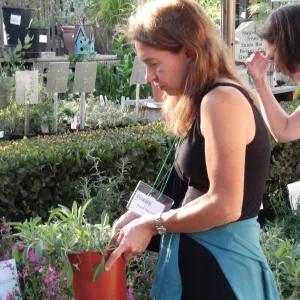 SBBG Fall Plant Sale 2010